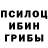 Псилоцибиновые грибы мухоморы Vadim Dubchenko