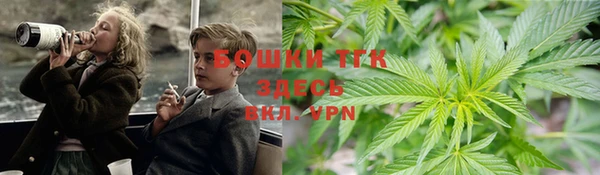 мет Алексин