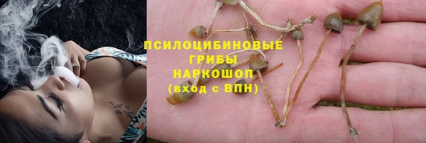 мет Алексин