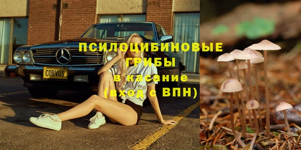 амф Алзамай