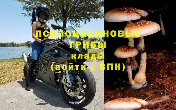 амф Алзамай