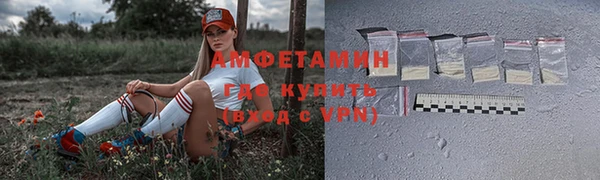 мет Алексин